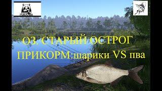 Русская рыбалка 4  русская рыбалка 4 гайд для новичков | рр4 | рр4 старый острог | старый острог лещ