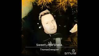 Sweet Little Sheila (Modern Talking) Thomas Energizer cover version