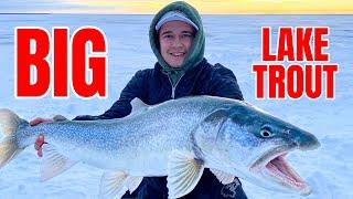 5 NIGHTS, 6 MASTERS!!! Ice Fishing for Big Lake Trout (Underwater Camera)