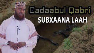 SUBXAANA LAAH | CADAABUL QABRIGA IYO DHIBKA YAALO QABRIGA || Sh Maxamed Macalin Abshir