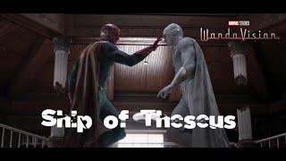 Ship Of Theseus scene from WandaVision (Vision vs White Vision)