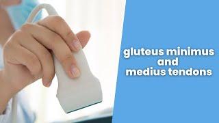 Gluteus Minimus and Medius Tendons - 2 min series MSKUS