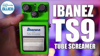 Ibanez TS9 Tube Screamer - How it Really Sounds!