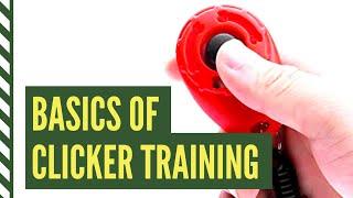 Clicker Training Basics: How to Introduce the Clicker for Dogs