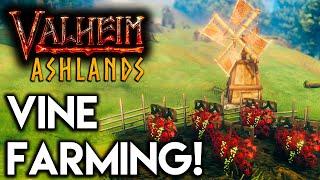 Valheim ASHLANDS: VINE FARMING GUIDE!