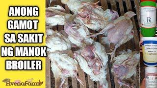 SAKIT AT GAMOT NG BROILER | Paano Gamutin ang Manok Broiler