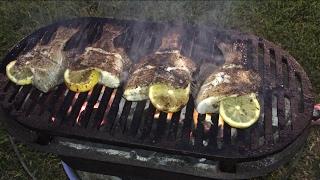 Grilled Bluegill