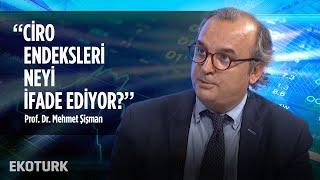 Türkiye Perakende Satış Endeksi | Prof. Dr. Mehmet Şişman