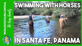 Things to do in Santa Fe, Panama - Swimming with Horses! With Junglecat, Panama