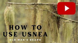 How to Use Usnea or Old Man's Beard