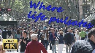 La Rambla, Barrio Gotico, Barcelona, Catalonia - Spain 4K Travel Channel