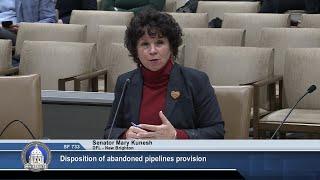 Committee on Energy, Utilities, Environment and Climate - 03/19/25