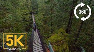 Virtual Nature Relaxation - VR 360° 5K Video - Creek Canyon Trail, BC, Canada