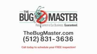 The Bug Master Pest Control & Exterminating