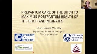 Purina Pro Club Webinar: Manage Your Female Brood Dog from Birth to Retirement with Dr. Lopate Pt1