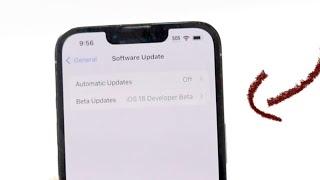 How To FIX Beta Update Missing On iOS Update Screen! (2024)