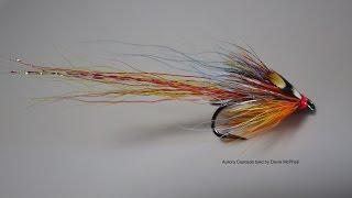 Tying the Aurora Cascade with Davie McPhail