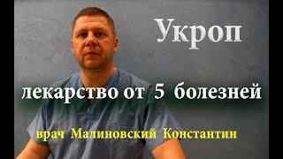 Пил укропную воду утром и на ночь. Вылечил 5 болезней и избавился от паразитов