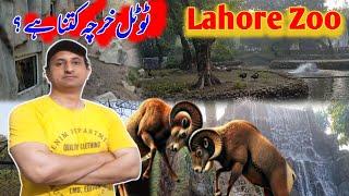 Lahore Zoo : Lahore Zoo Ticket Price 2025 | Chirya Ghar Lahore