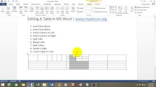 Learn How To Edit Table In MS Word