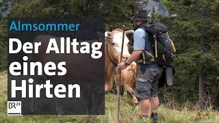 Almsommer: Der Hirte vom Stuiben | Abendschau | BR24