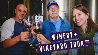 Mendoza WINERY + VINEYARD Tour  | Visiting BODEGAS LUMINIS in Maipu, Argentina 