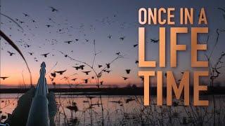 A Once in a Lifetime Duck Hunt! You Won’t Believe This One!