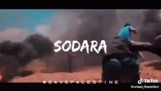 Lagu Seve Palestina dalam 45 detik