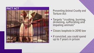 Florida congressman reintroduce bill to make animal cruelty and bestiality a felony