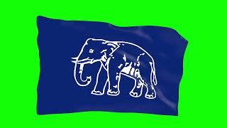 BSP Party Flag Animated Green Screen