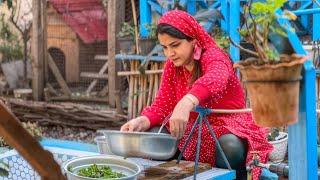 Cooking Fasanjoon in the village |village lifestyle