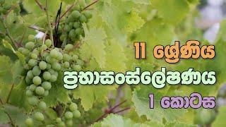 O/L Science Sinhala | Grade 11 Science Unit 02 Part 1 | 11 වසර විද්‍යාව 02 පාඩම | ප්‍රභාසංස්ලේෂණය