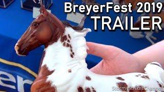 Stormy Strike's Post BreyerFest 2019 Videos TRAILER