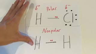 Polar and Nonpolar Covalent Bonds