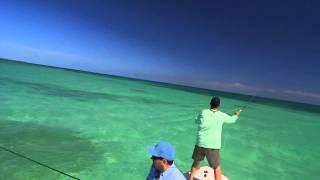 Tarpon school, Marathon Florida Keys - fly fishing