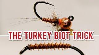 THE TRICK WITH TURKEY BIOT (NYMPH)