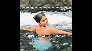 SOUNDBOY X WEDGER - DIGIA