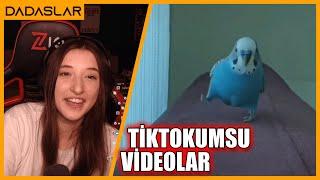 Pqueen - TikTokumsu Videolar İzliyor (Sürpriz Sonlu)