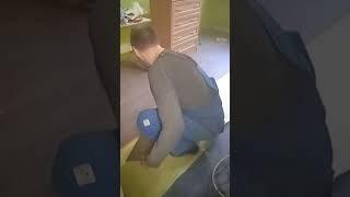 Собака мешака#DZhO #new_funny_video