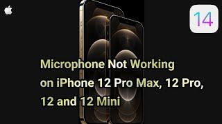 iPhone 12, 12 Pro & 12 Pro Max Microphone Muffled and Audio become Choppy when FaceTime Calls iOS 14