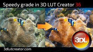 Speedy grade in 3D LUT Creator, Part 36