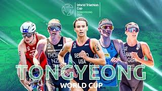 2024 World Triathlon Cup Tongyeong | WOMEN