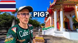 I Found the Hua Hin Pig Temple