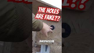 This FAKE birdhouse is actually hiding a gadget Geocache!!