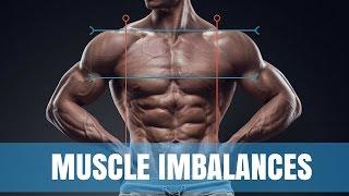 How to Fix Muscle Imbalances | One Arm Bigger Than The Other