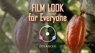 Beginner Tutorial @Dehancer  / DaVinci Resolve / Review