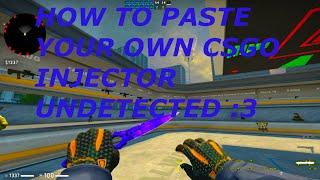 HOW TO PASTE YOUR OWN CSGO INJECTOR