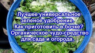 Лучшее универсальное зеленое удобрение. Органическое чудо-средство для сада и огорода.