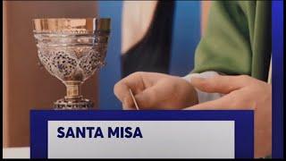 SOLEMNE PONTIFICAL TRECE TV | Beatificación del Padre José Torres Padilla,  Sevilla | 09/11/2024