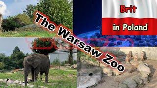 Warsaw Zoo - A tale of triumph over adversity